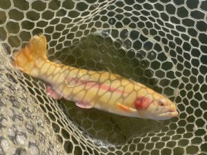 2月4日（水）八王子市　宮城さん