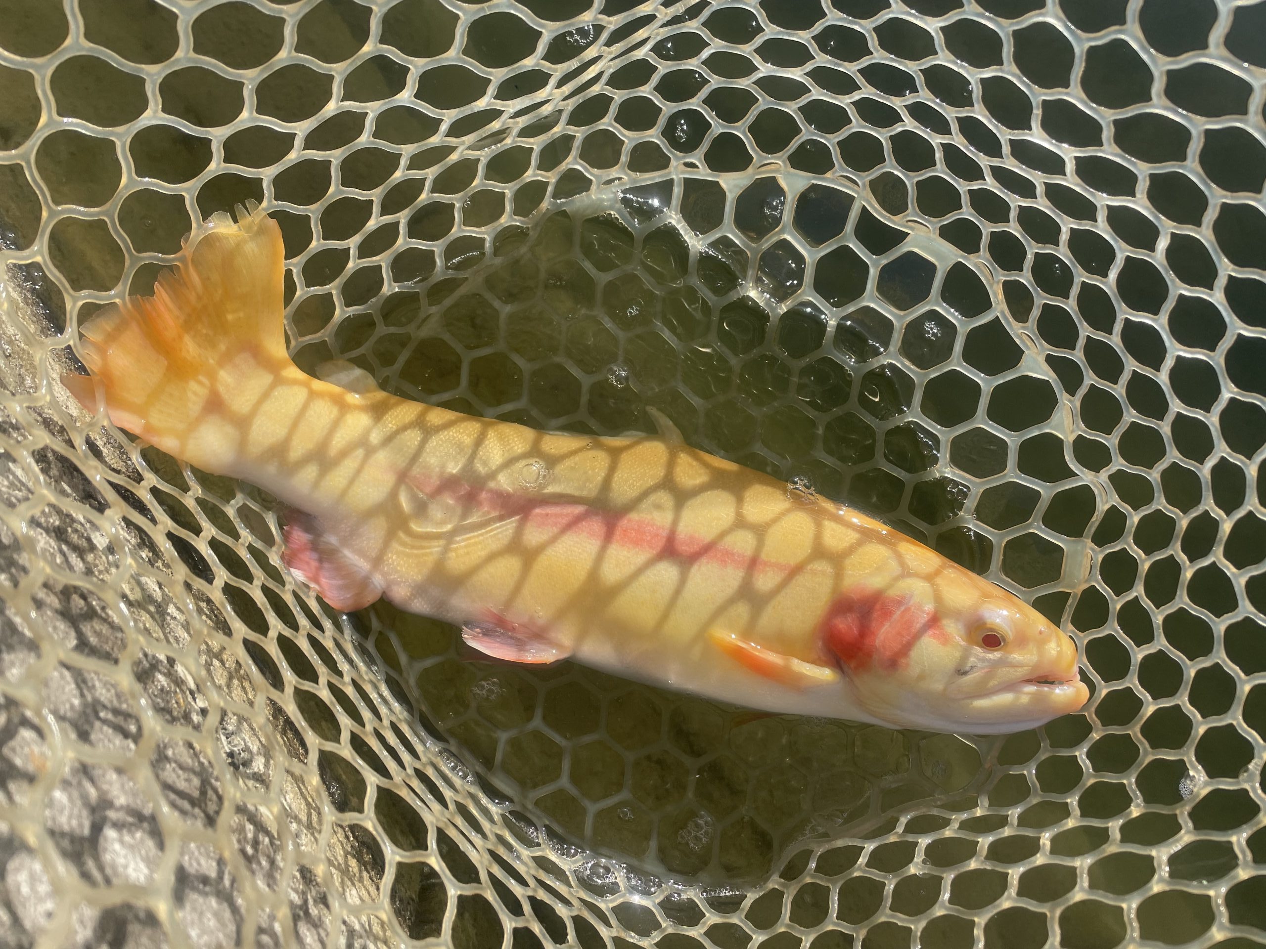 2月4日（水）八王子市　宮城さん