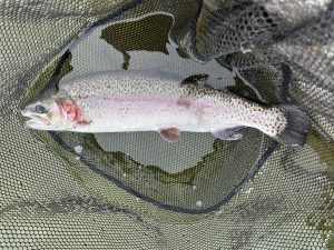 2月20日（金）町田市　から揚げ班長　さん