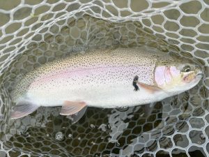 2月17日（火）入間市　つるちゃん　さん