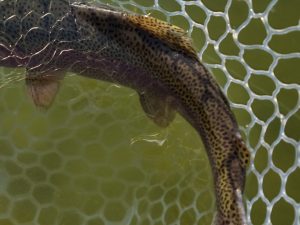 2月6日（金）あきる野市　Shigeさん