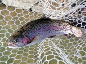 2月4日（水）多摩市　Aさん