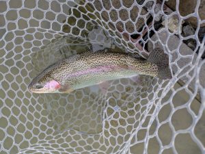 2月2日（月）狭山市　Gety　さん