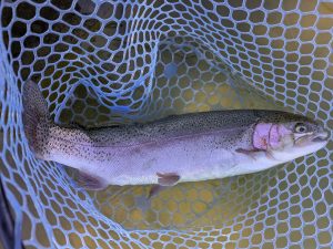 2月4日（水）茅ヶ崎市　スーさんさん