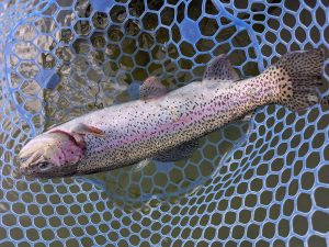 2月18日(水)　茅ヶ崎市　スーさんさん