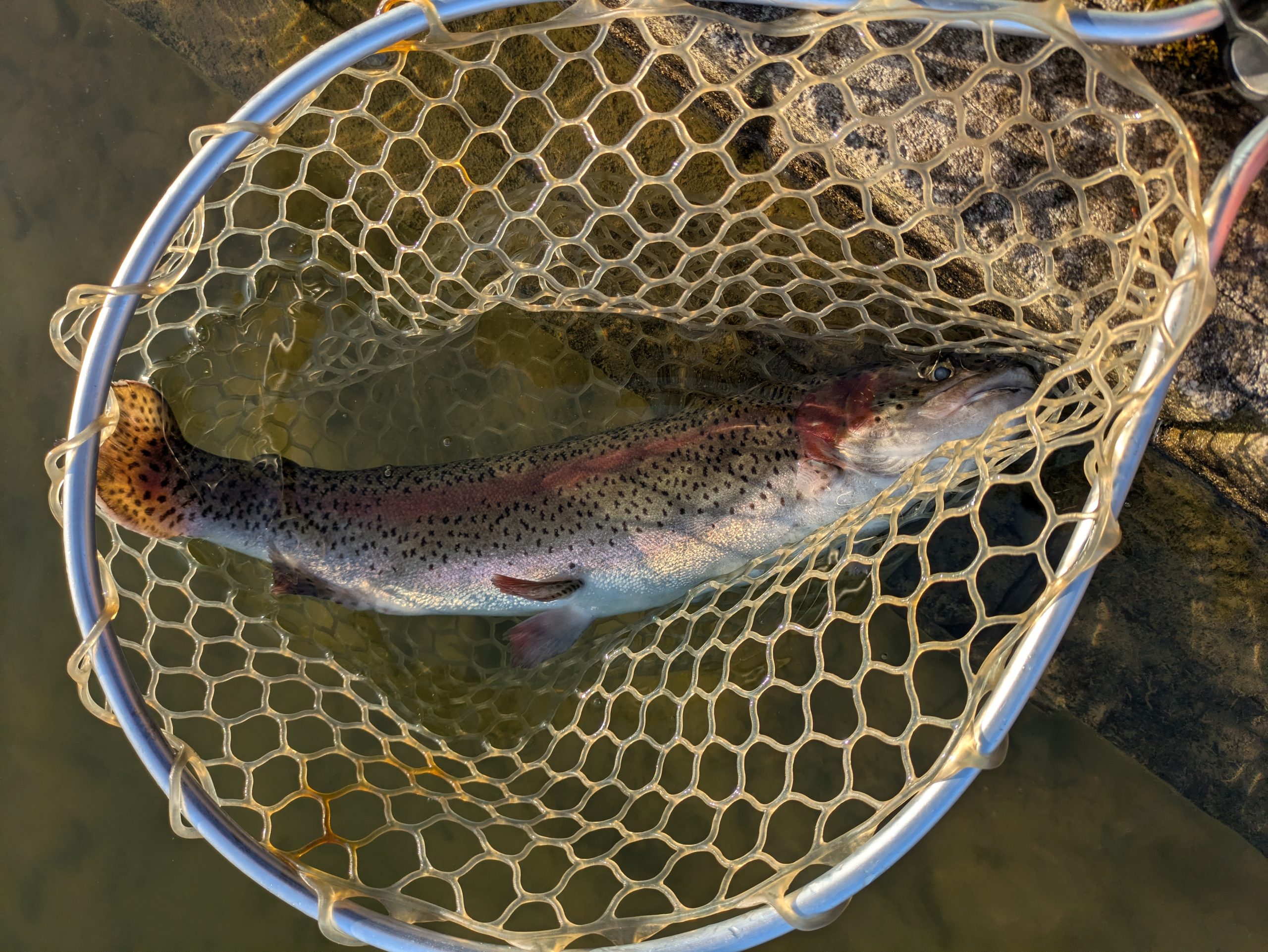 2月23日（月・祝）　小金井市　山本さん