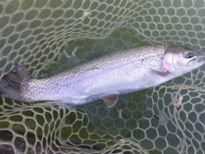 2月15日(日)　三鷹市　Kazu53さん