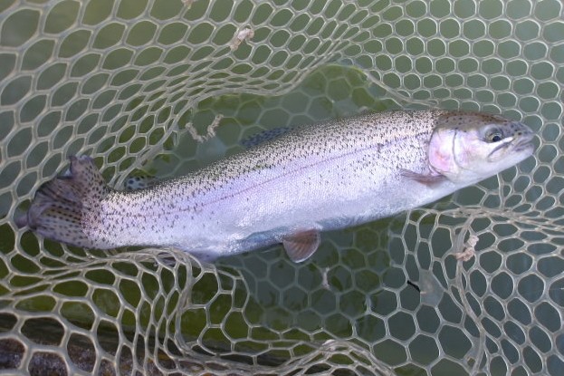 2月15日(日) 三鷹市 Kazu53さん