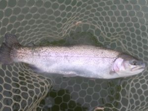 2月20日（金）三鷹市　kazu53　さん