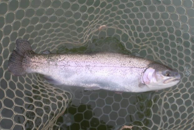 2月20日(金)三鷹市 kazu53 さん