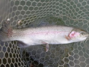 2月17日（火）三鷹市　kazu53　さん