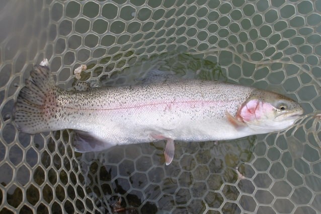 2月17日(火)三鷹市 kazu53 さん