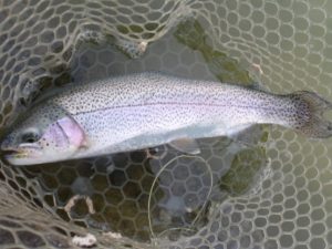 2月24日(火)　三鷹市　Kazu53さん