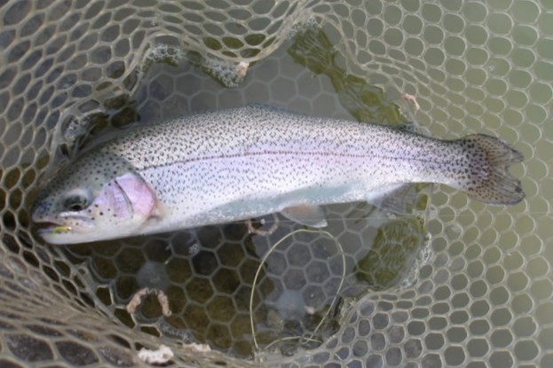 2月24日(火)　三鷹市　Kazu53さん