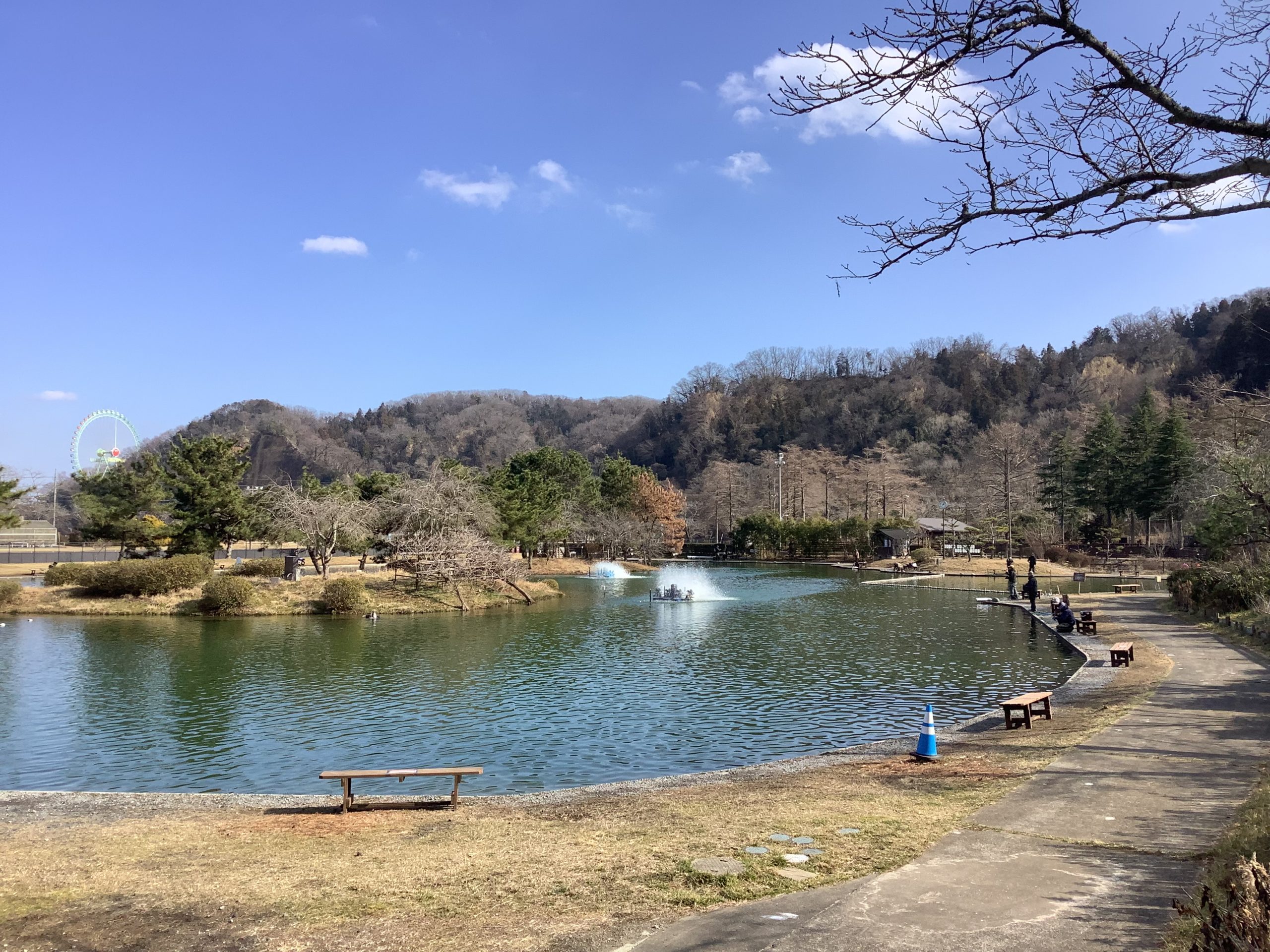 2月18日(水)日記