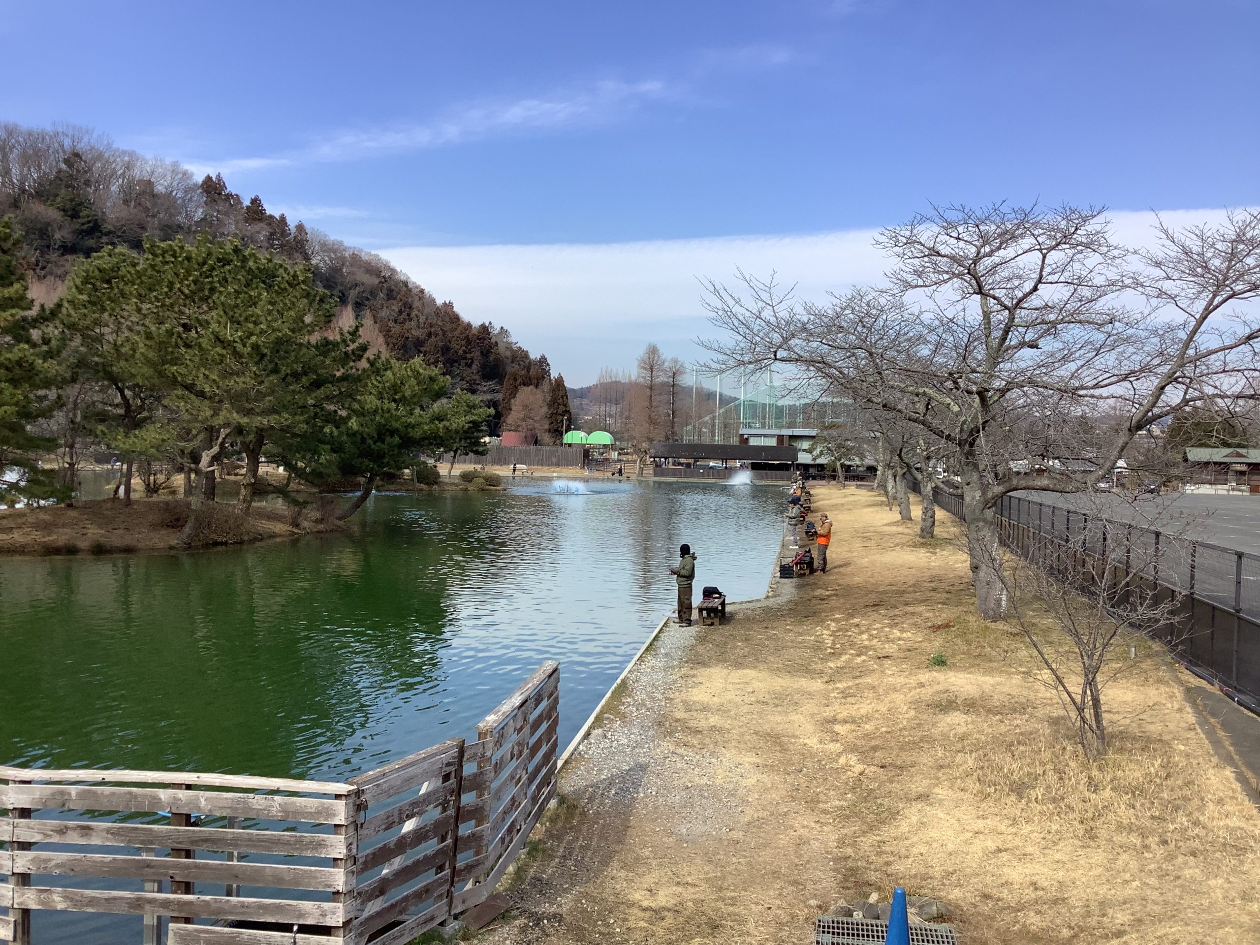 2月6日（金）日記