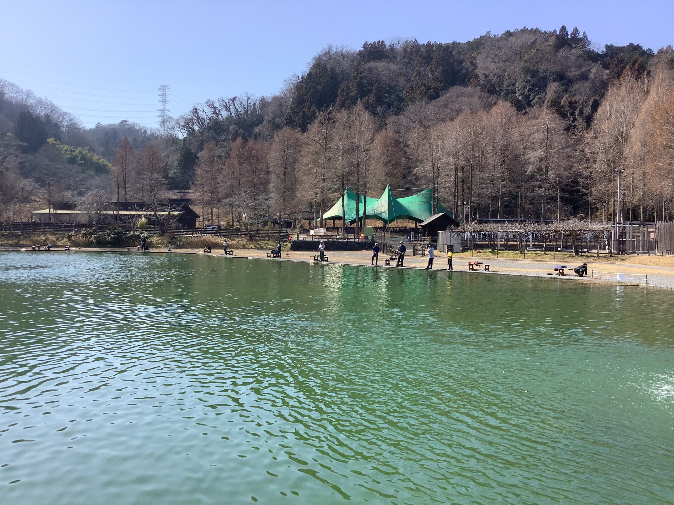 2月15日（日）日記