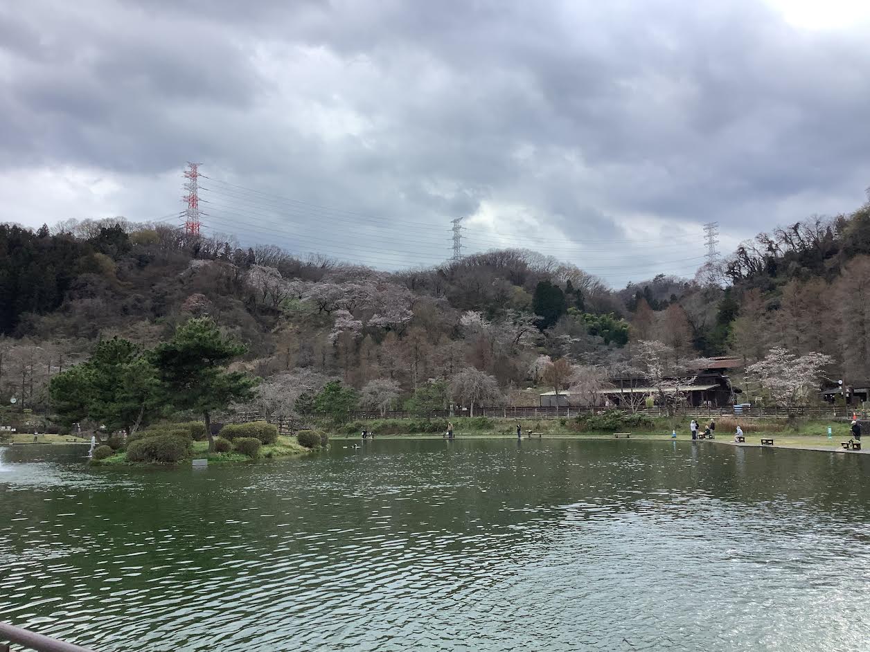 3月27日（金）日記