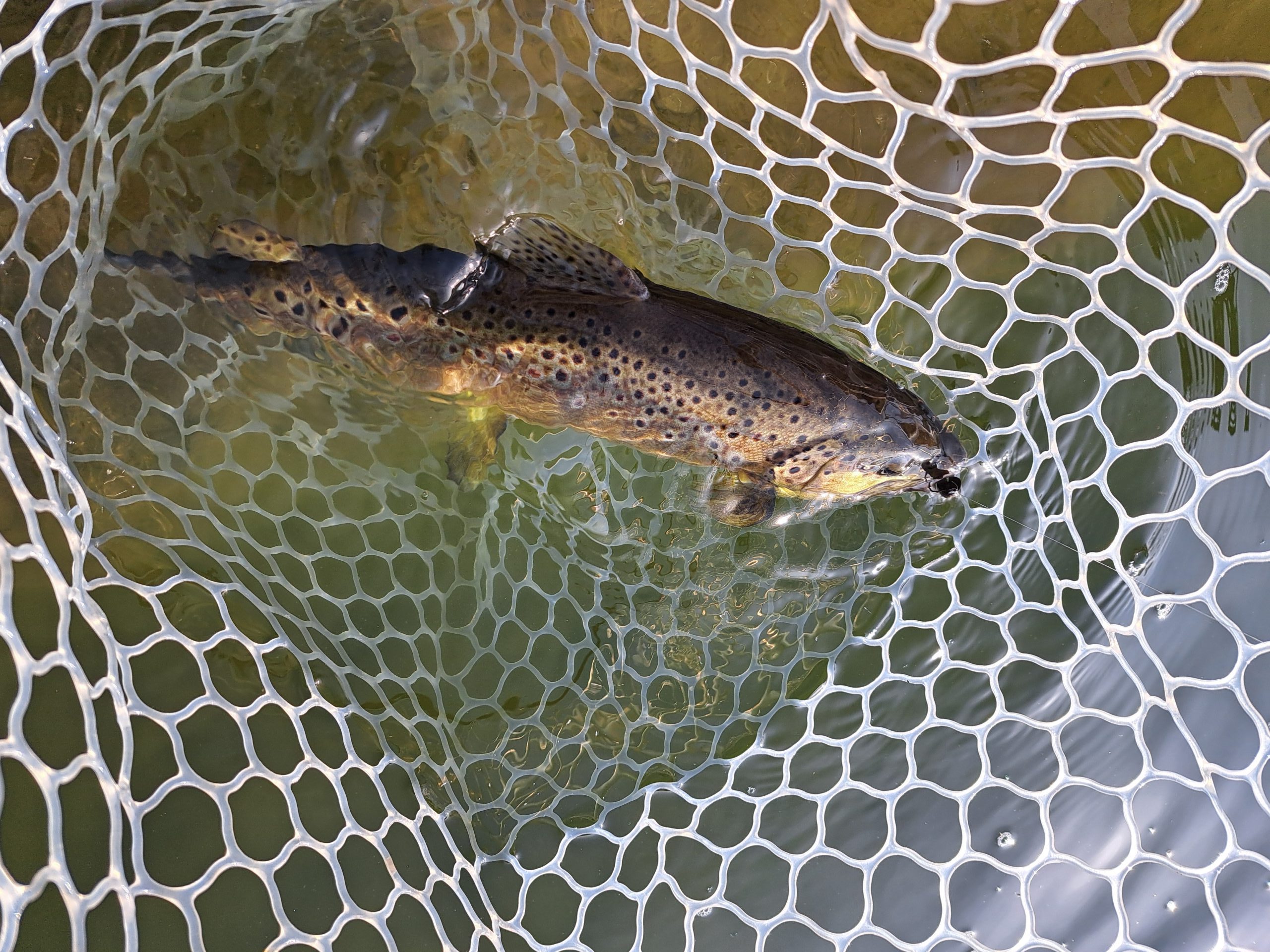 2月28日（土）稲城市　さかいさん