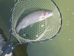 3月1日（日）立川市　たかちゃんさん