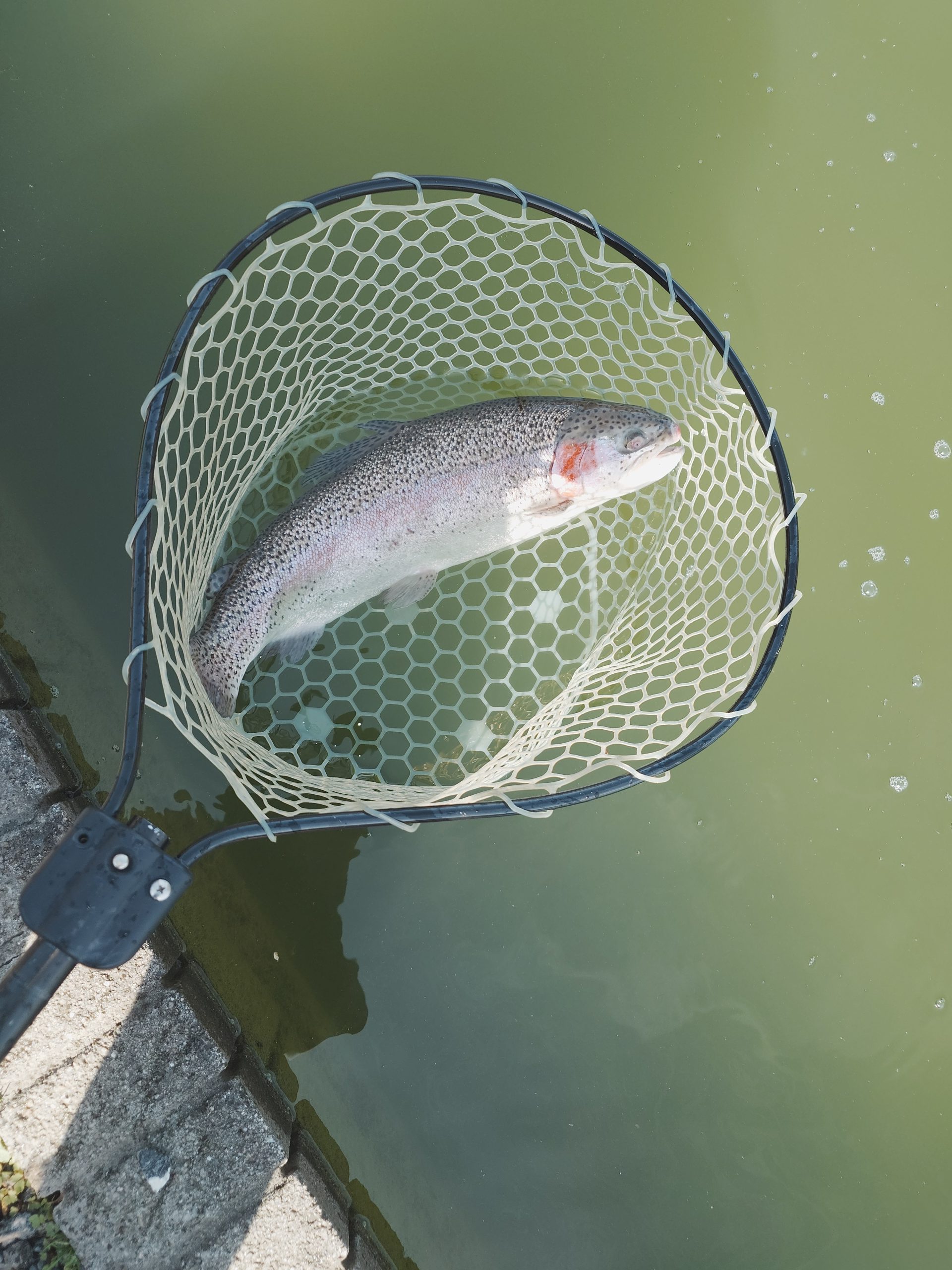 3月1日（日）立川市　たかちゃんさん