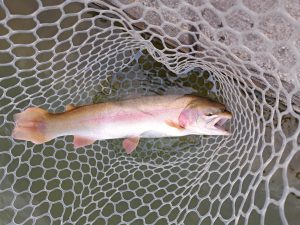 3月6日(金)　稲城市　さかいさん