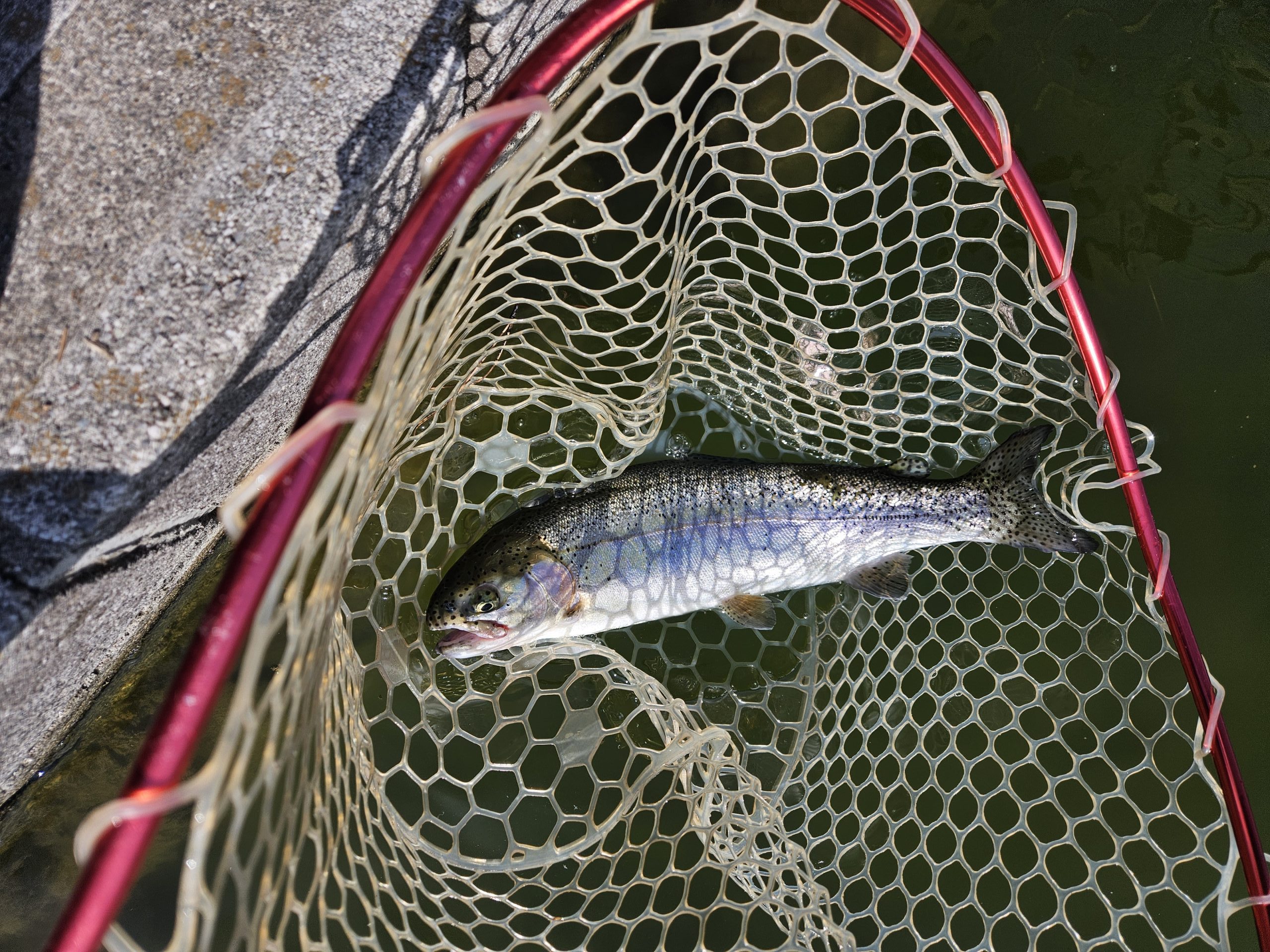 3月９日（月）杉並区　さいとうさん