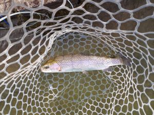 3月15日（日）八王子市　平山さん