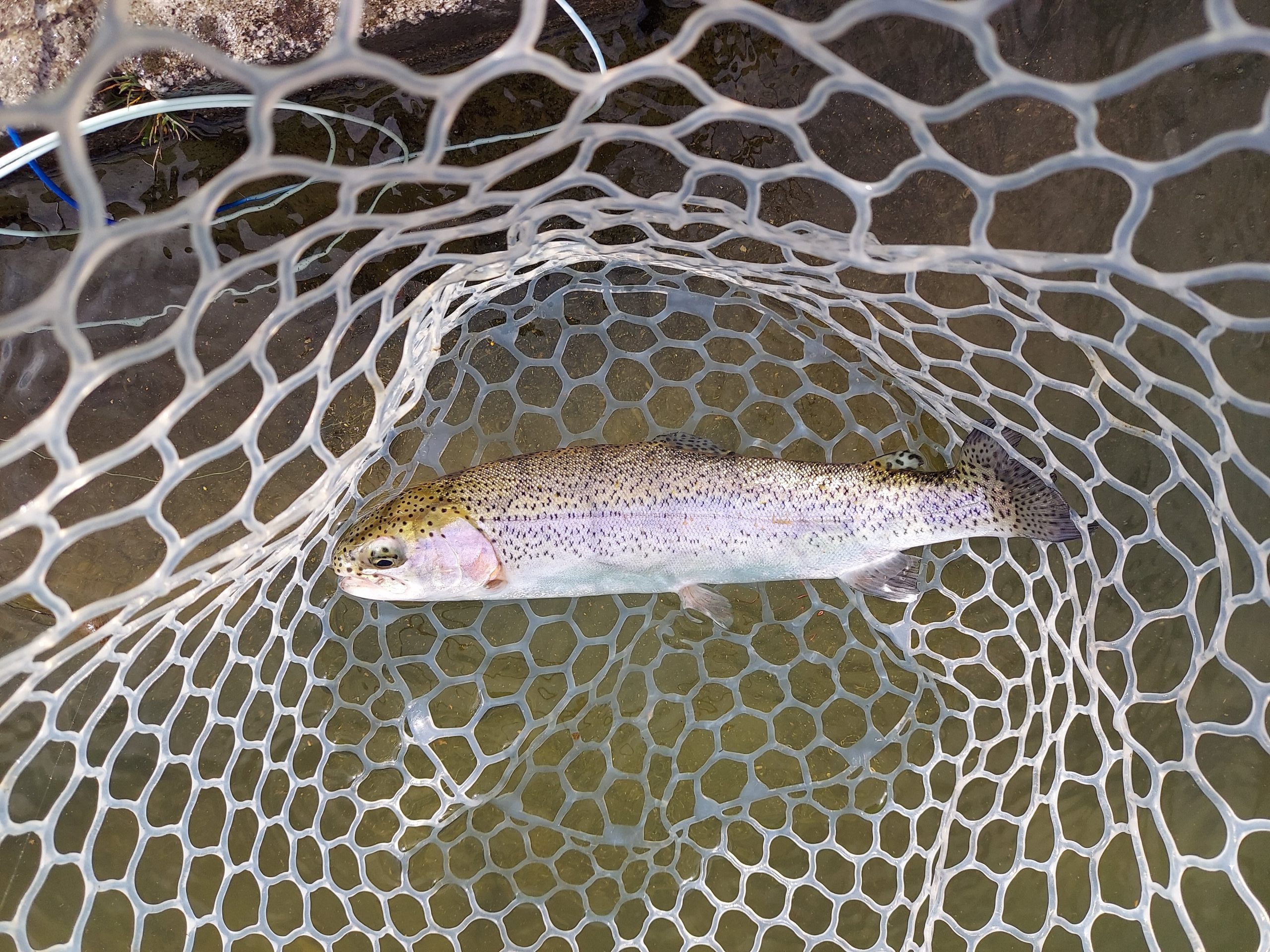 3月15日（日）八王子市　平山さん