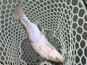 3月15日(日)　八王子市　takaさん