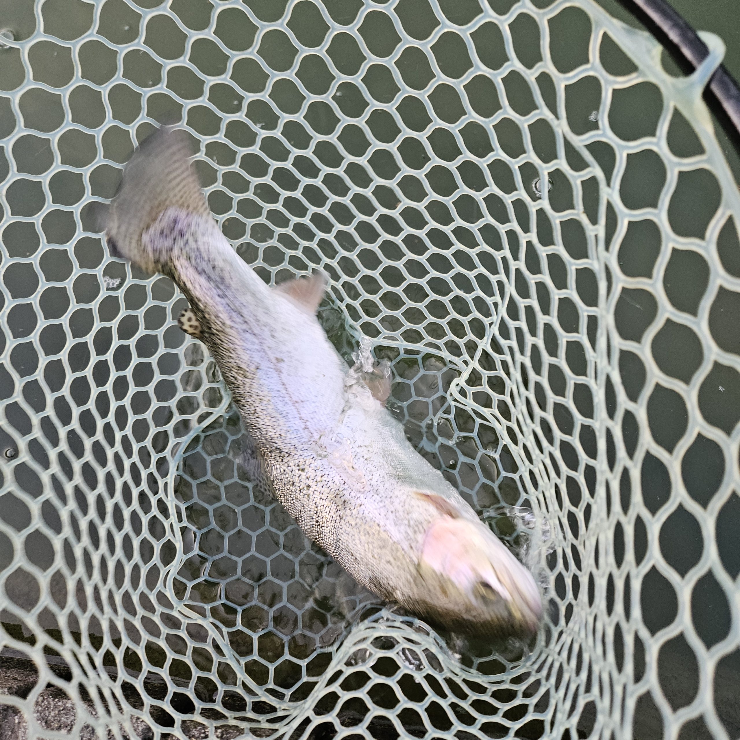 3月15日(日)　八王子市　takaさん