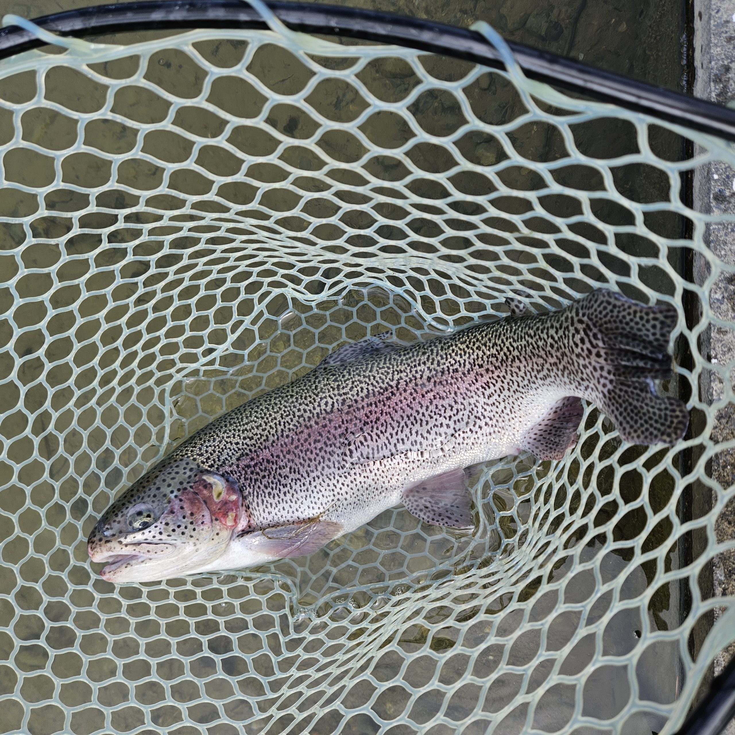 3月18日（水）八王子市　takaさん