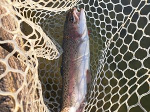 3月21日(土)　稲城市　さかいさん