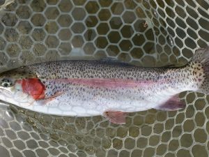 3月22日（日）入間市　寒いの苦手さん