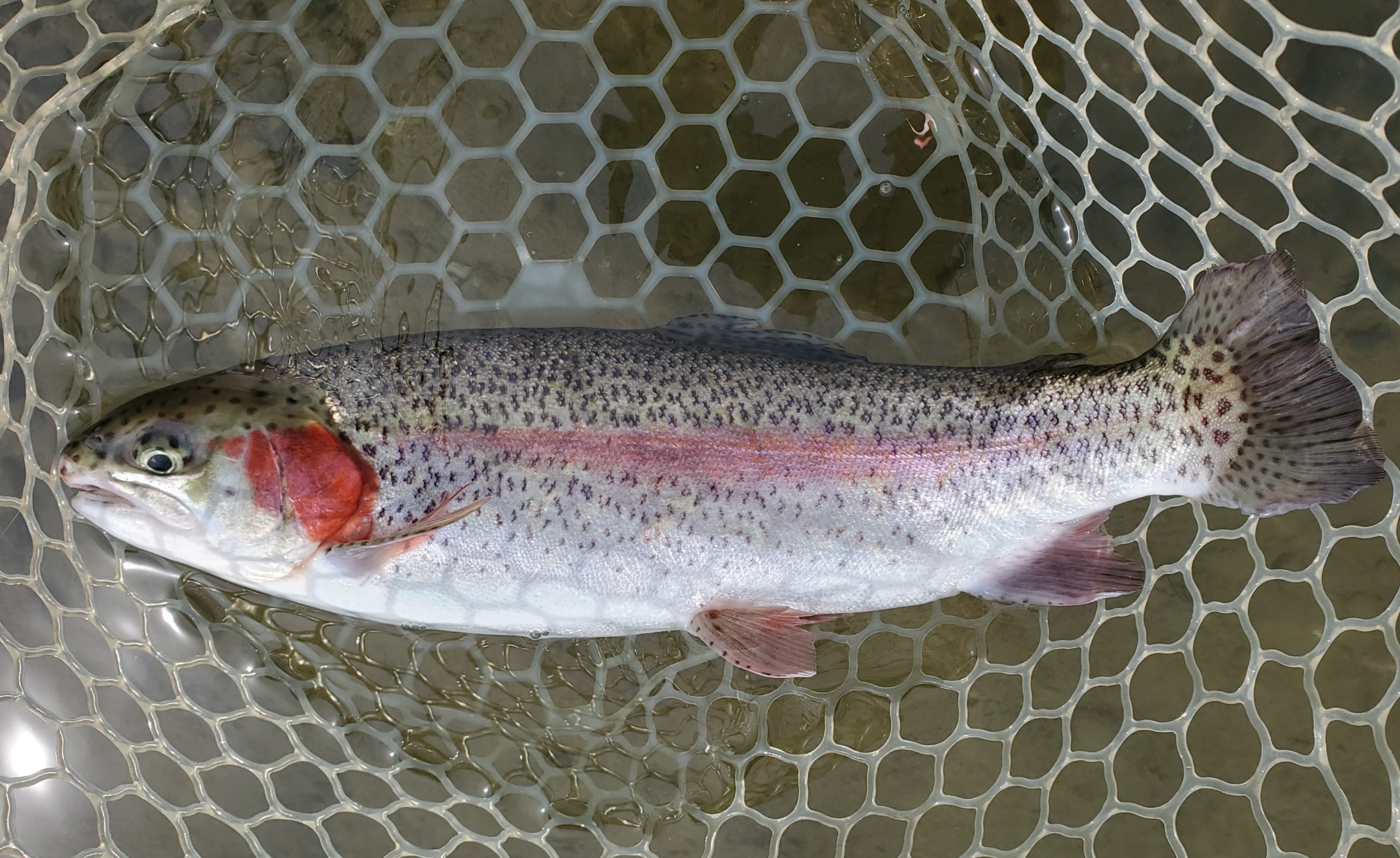 3月22日（日）入間市　寒いの苦手さん