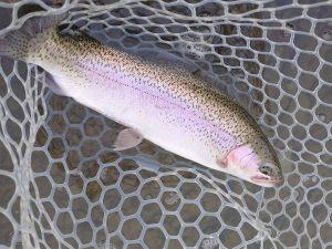 3月23日（月）坂戸市　イチローさん