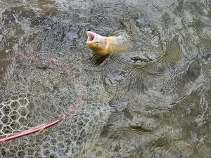3月29日（日）杉並区　さいとうさん