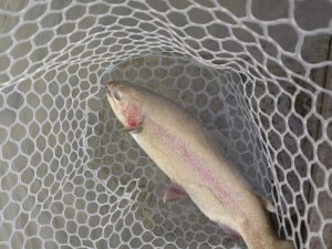 3月2日（月）坂戸市　イチロー　さん