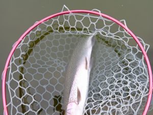 3月17日(火)　所沢市　コロレインボーさん