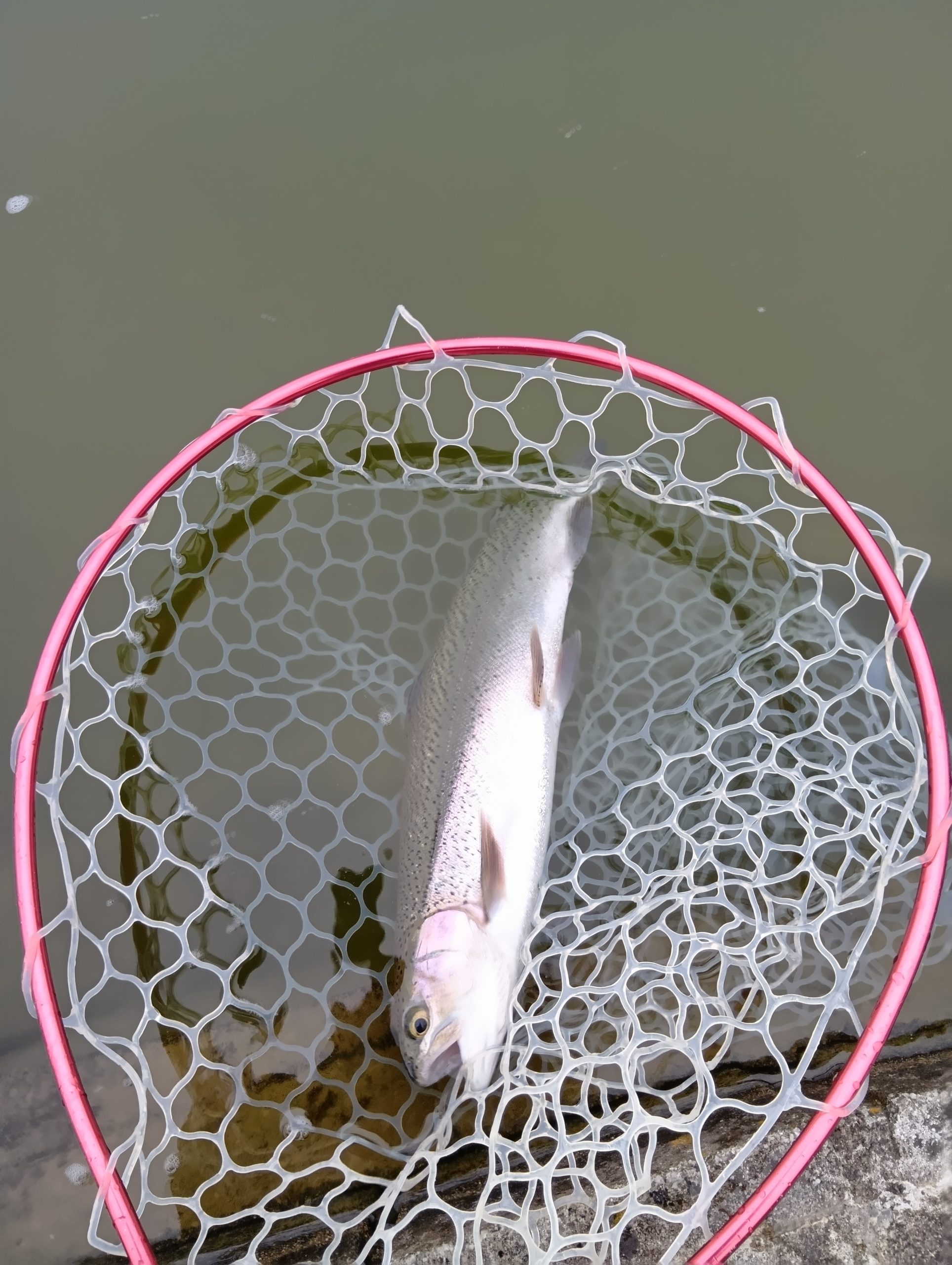 3月17日(火)　所沢市　コロレインボーさん