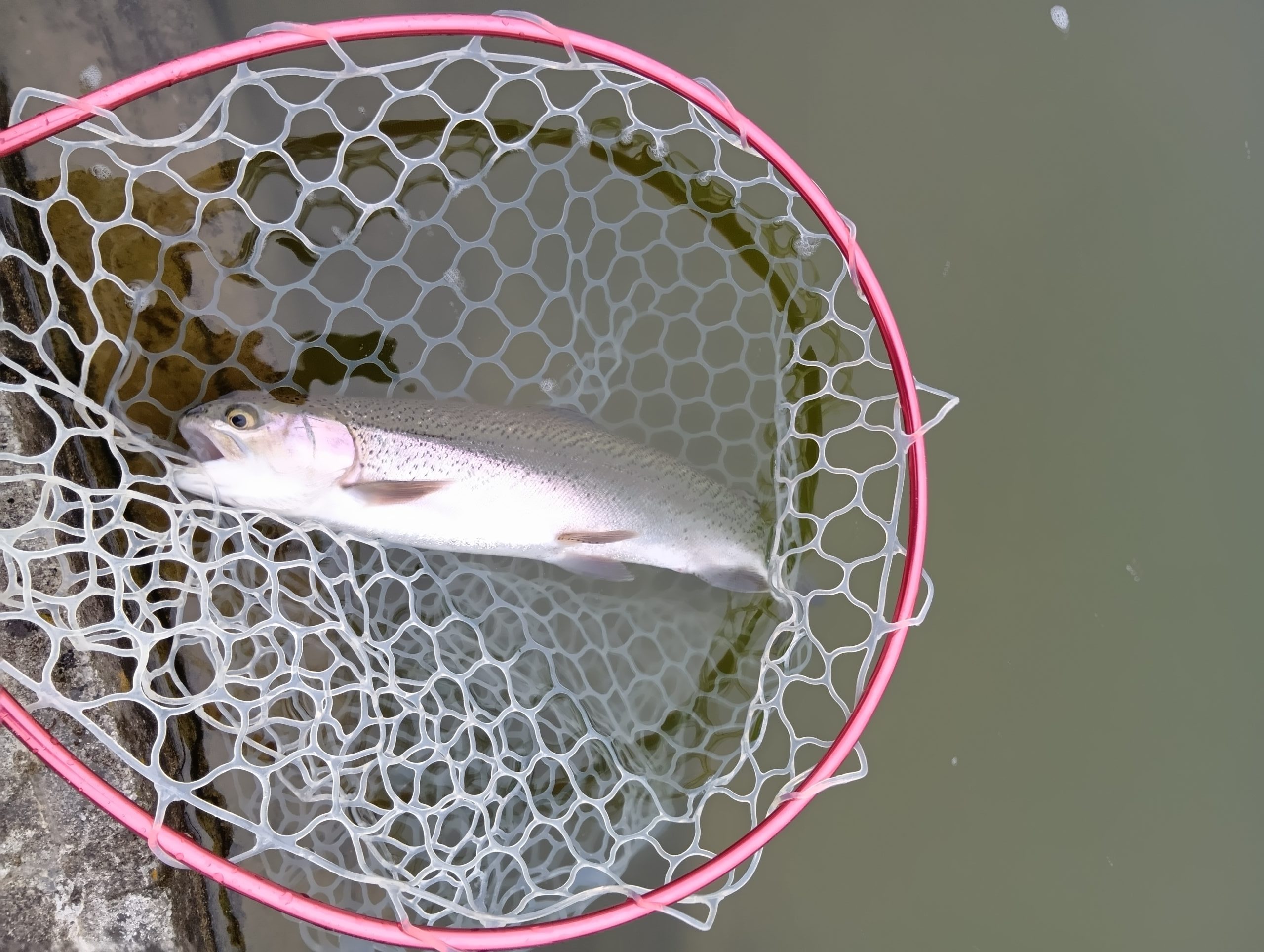 3月10日（火）所沢市　コロンレインボーさん