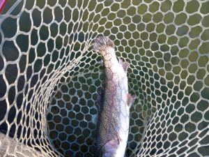 3月21日(土)　所沢市　コロレインボーさん