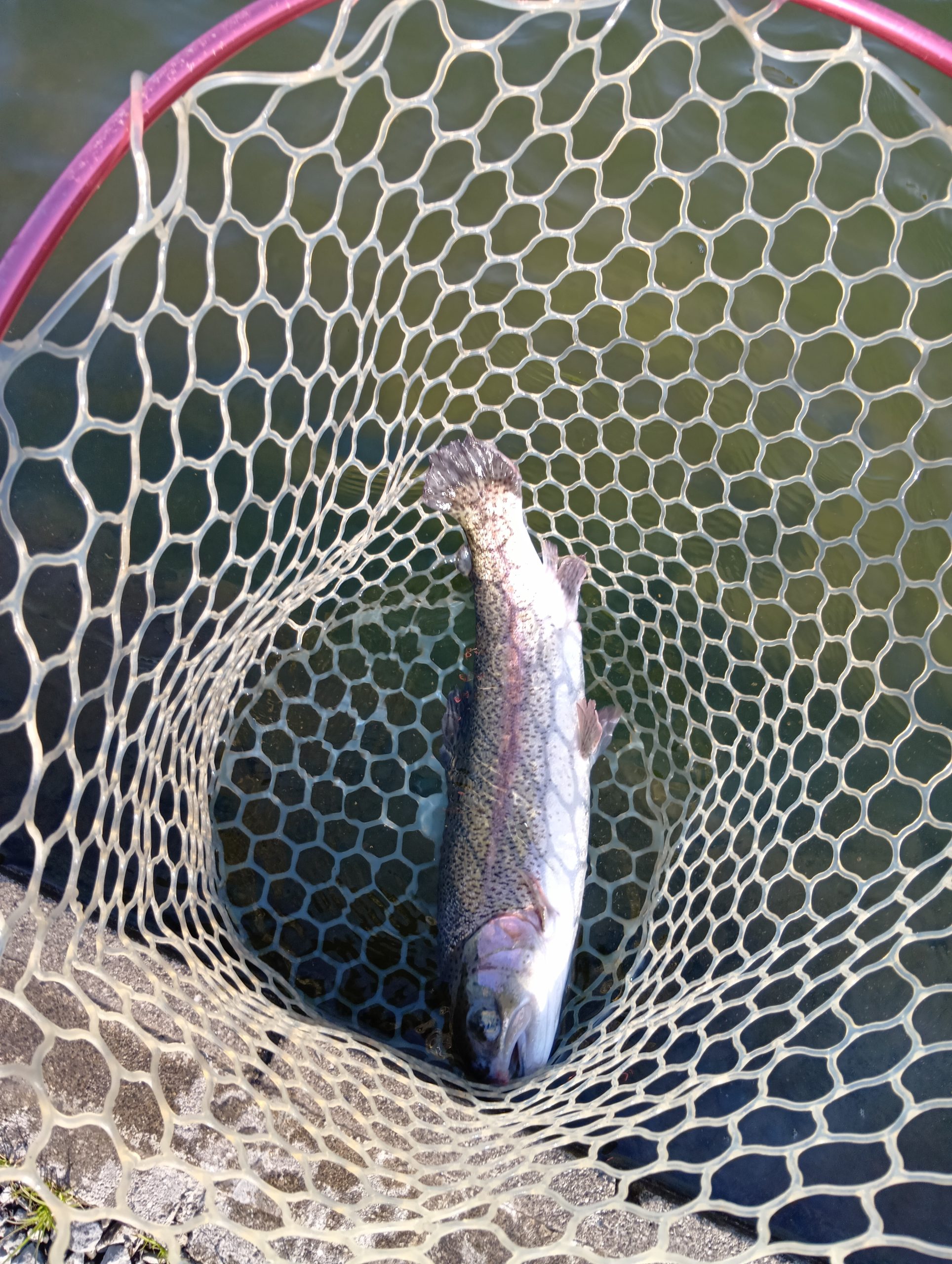 3月21日(土)　所沢市　コロレインボーさん