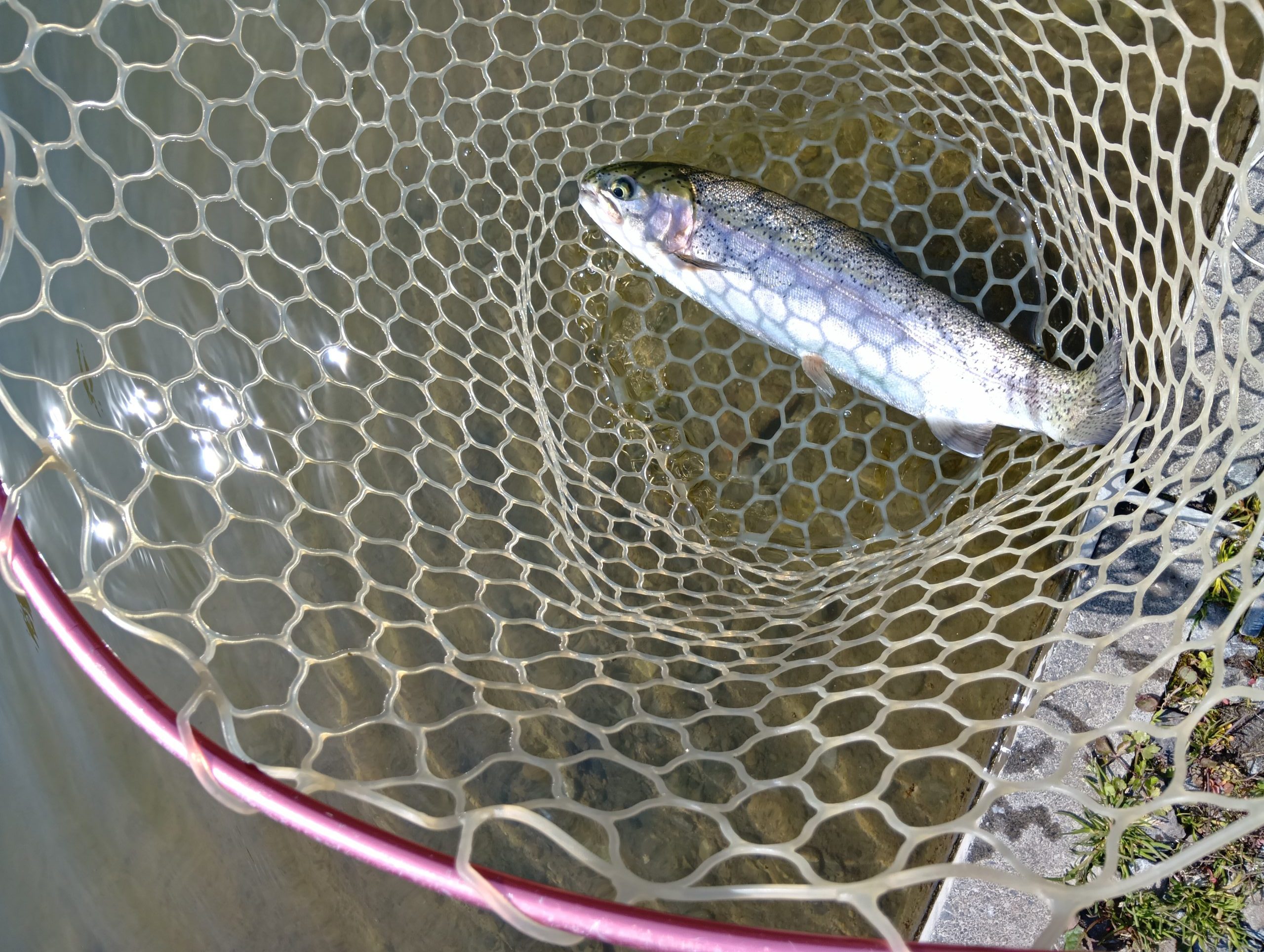 3月24日（火）所沢市　コロンレインボーさん