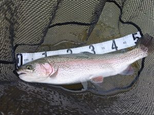 3月25日（水）武蔵村山市　佐藤さん