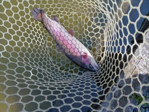 3月28日(土)　所沢市　コロレインボーさん