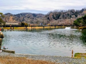 3月17日(火)　日記