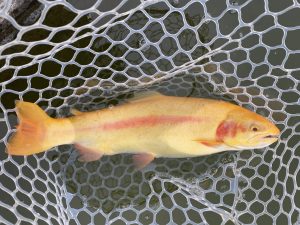 3月2日（月）坂戸市　タロヤン　さん