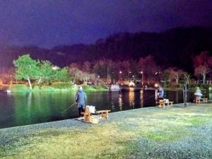 3月20日（金）日記