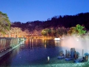 3月21日（土）日記